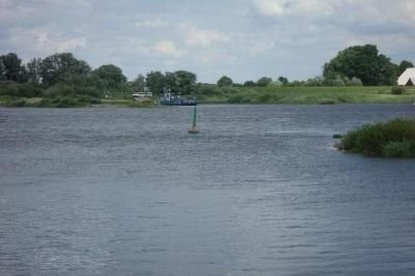 Elbe-Ilenpool -In Ruhe entspannen - foto 41