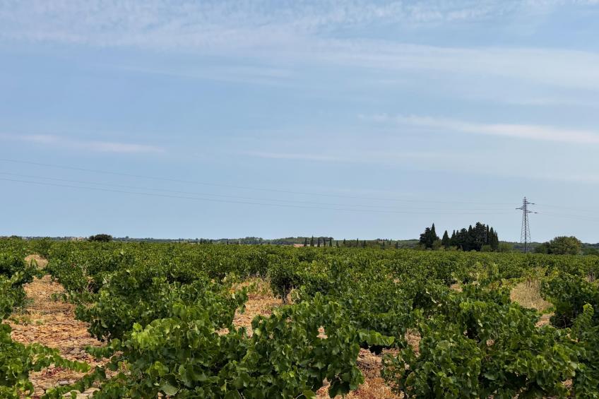 Sorgue 9-4 - foto 58