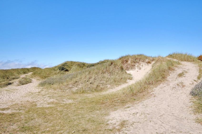 "Neven" - 900m from the sea in NW Jutland - foto 19