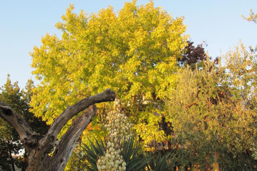 Wohnung mit Blick auf den Gardasee - foto 36