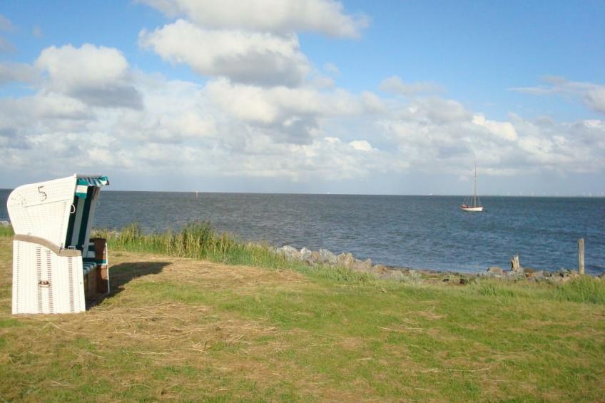 54621 - foto 12