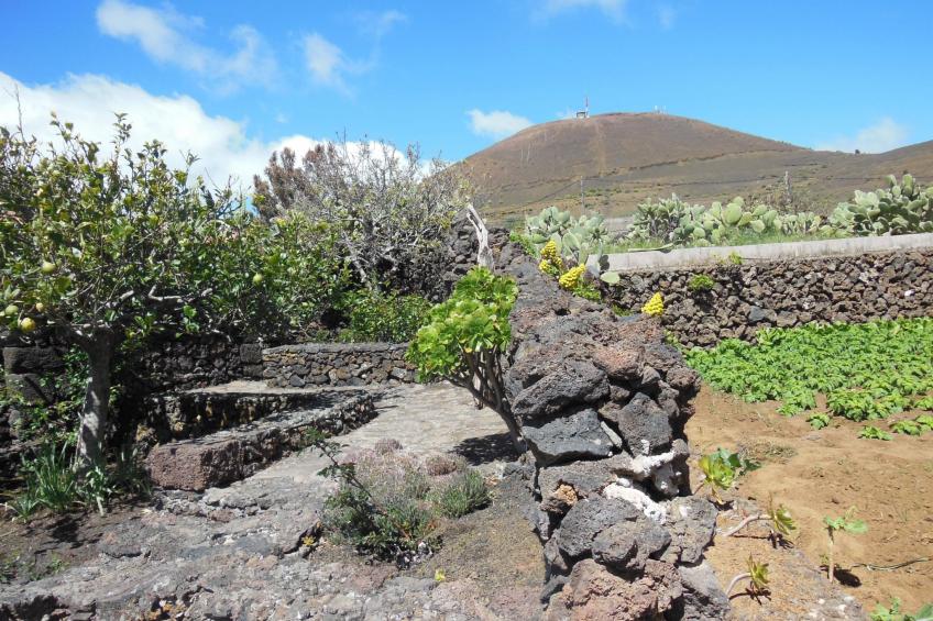 Traditionelles kanarisches Landhaus - foto 40