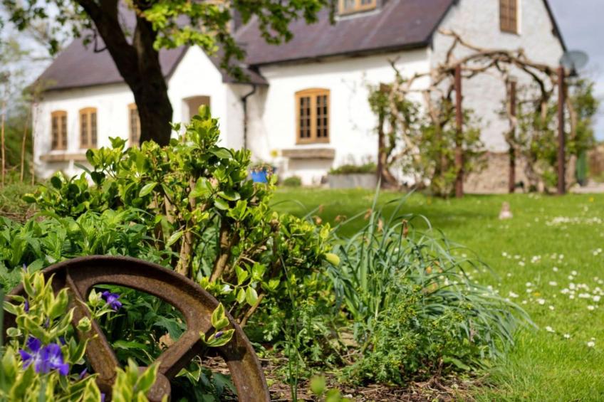 Waen Farm Cottage - foto 45