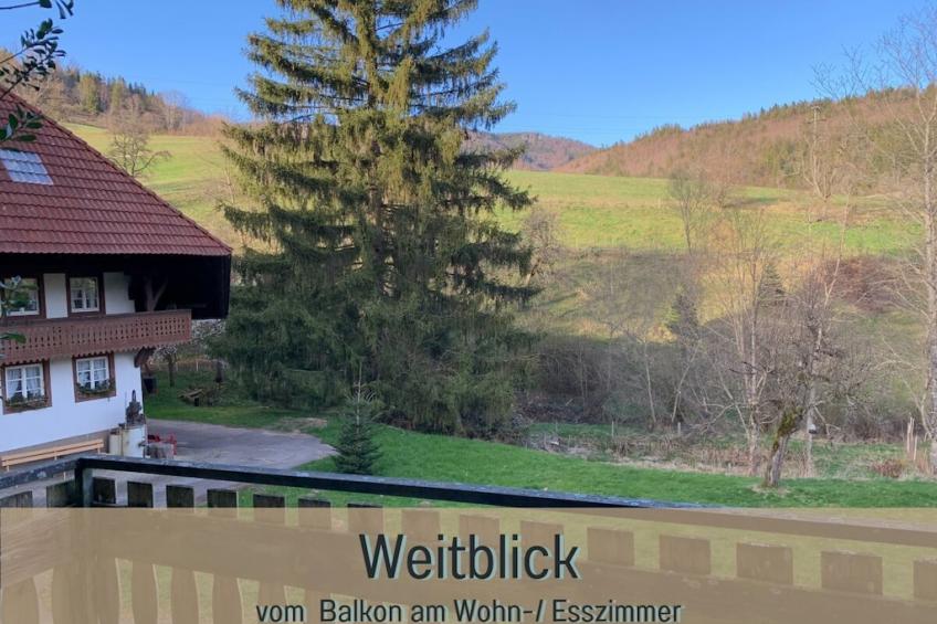 78633 - foto 3