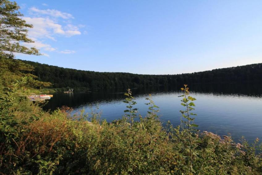 Ferienhaus Waldblick - foto 35