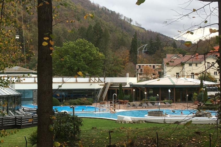 Wohnung in Bad Harzburg mit Garten - foto 8