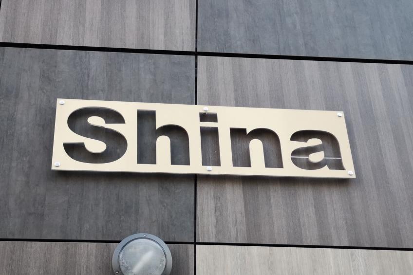 Shina - foto 13