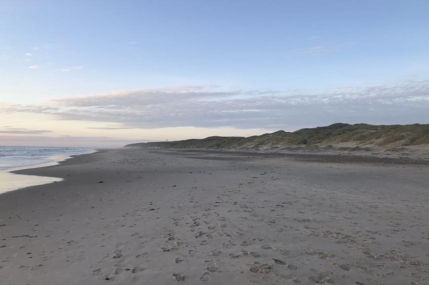 "Finna" - 1km from the sea in NW Jutland - foto 27