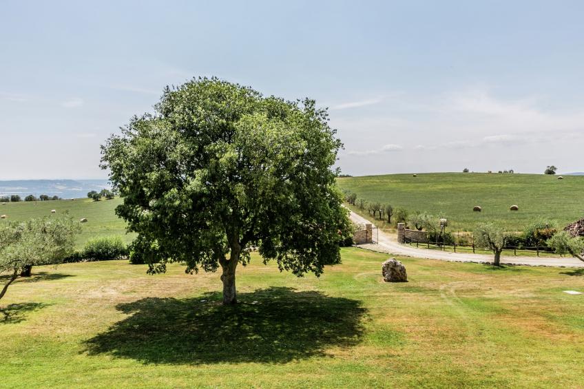 Il Bagolaro - foto 39