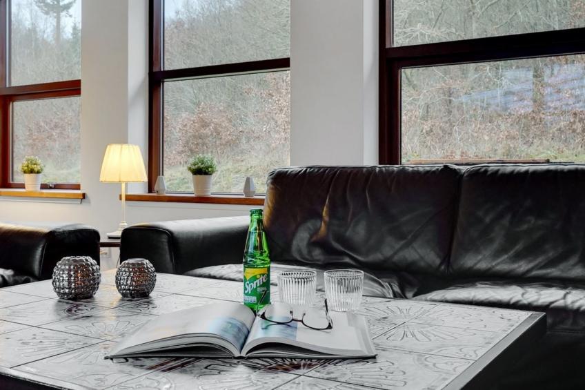 "Toska" in SE Jutland - foto 13