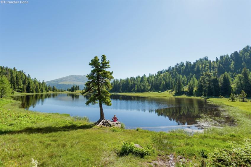 Alpenpark Turracherhöhe - foto 17