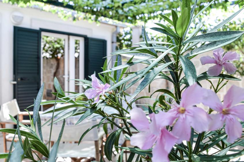 Apartments Gracin - Studio Apartment with Terrace (A4) - foto 28