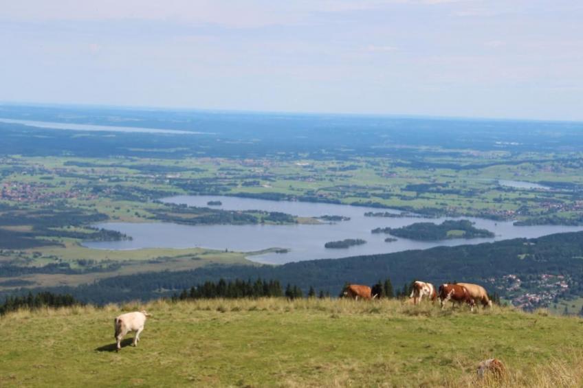 mit Blick auf das Wasser - foto 89