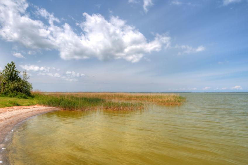 "Saaler Bodden" - foto 9