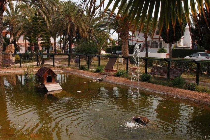 Violeta 17 - foto 126