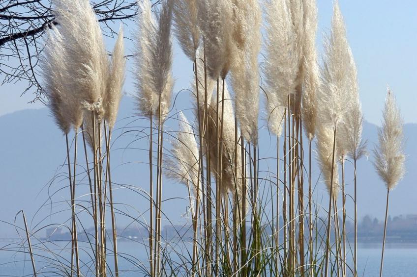 Studio-Apartment mit Zwischengeschoss in einem historischen Gebäude in Zorzino - foto 26