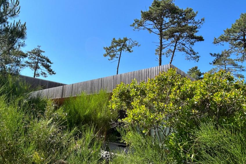 La Maison Pinède - foto 2