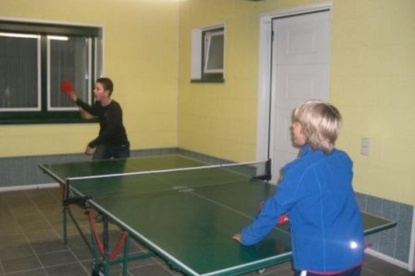 Appartement Bergkristall mit Gebirgsblick - foto 25