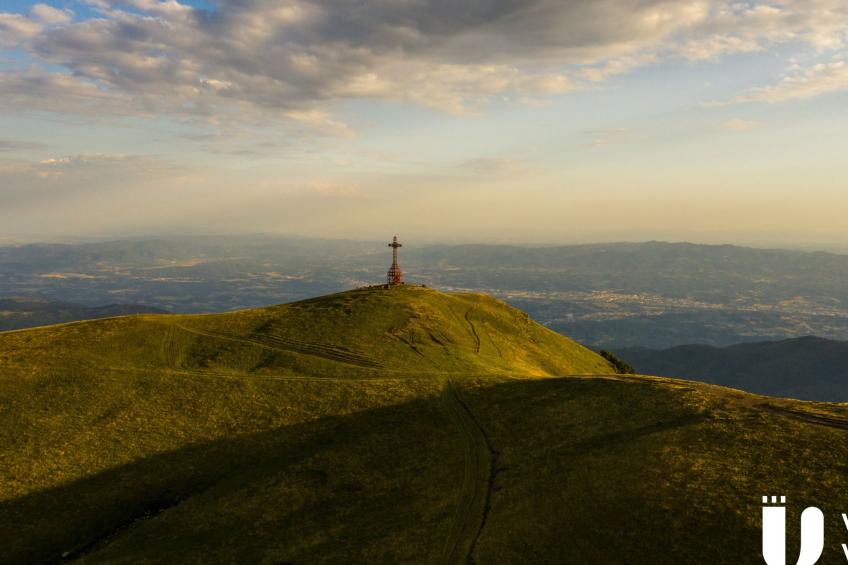 Flache Linde - foto 41