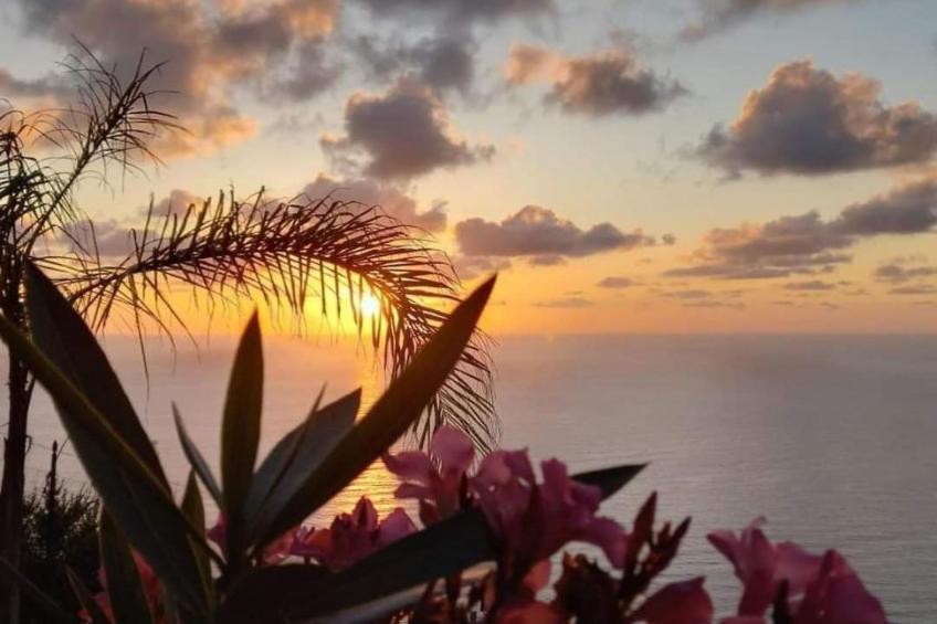 Villa Panorama Wohnung in privater Villa - foto 39