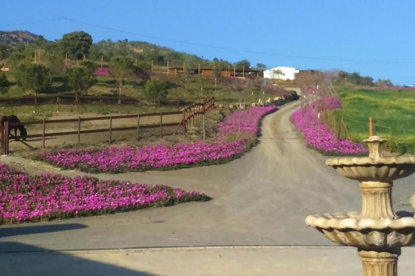 Gemütliches Ferienhaus in Almogía mit Garten - foto 8