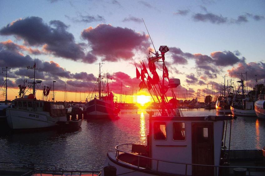 Ferienanlage Lemkenhafen, Fehmarn-Lemkenhafen - Typ D - foto 20