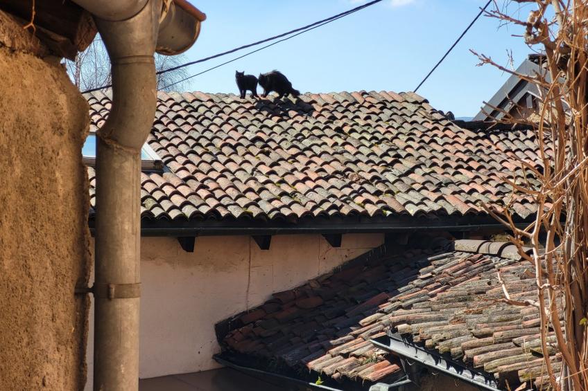 Casa Nicole - foto 36