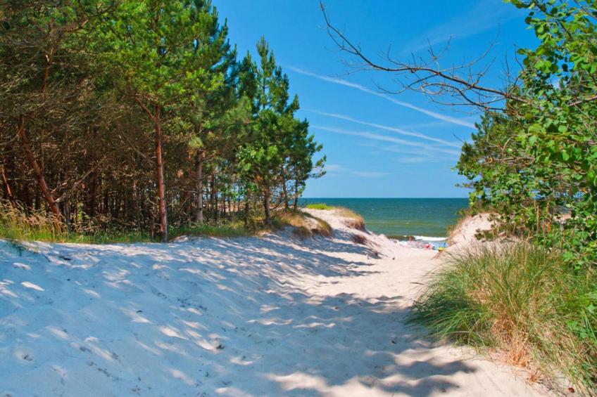 Holiday resort, Wicie - foto 21