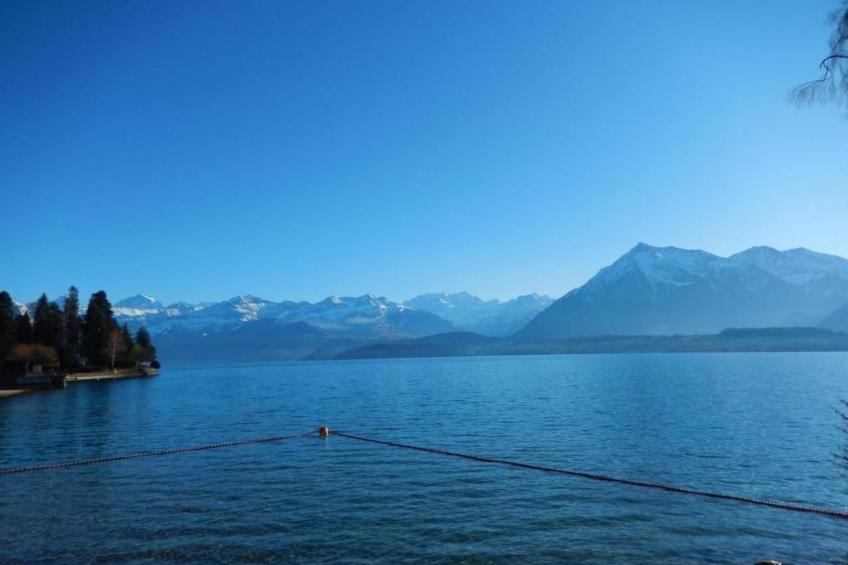 Haus Itten - foto 49