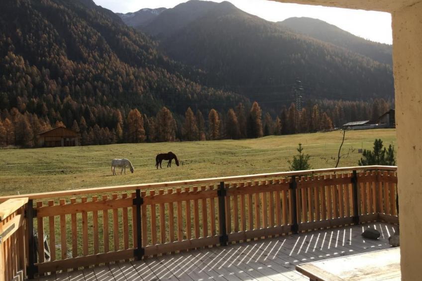 Chesa Delfins - foto 29