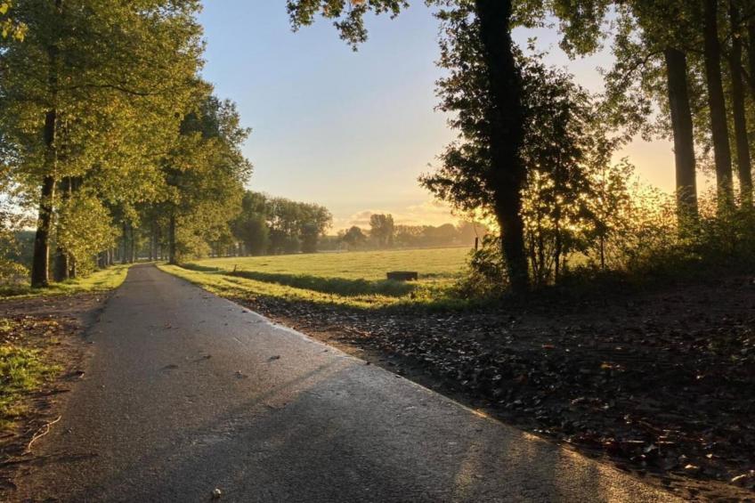 Biezenpolder - foto 37