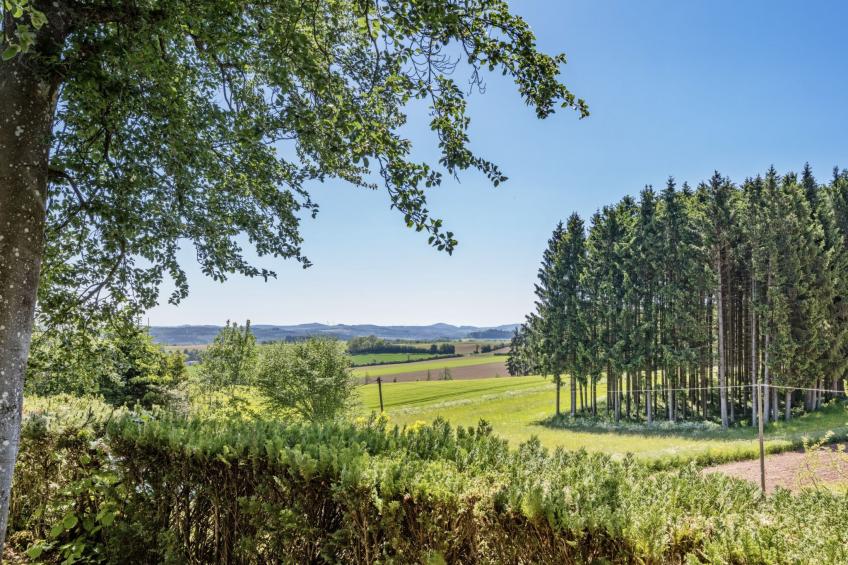 George Countryhouse - foto 19