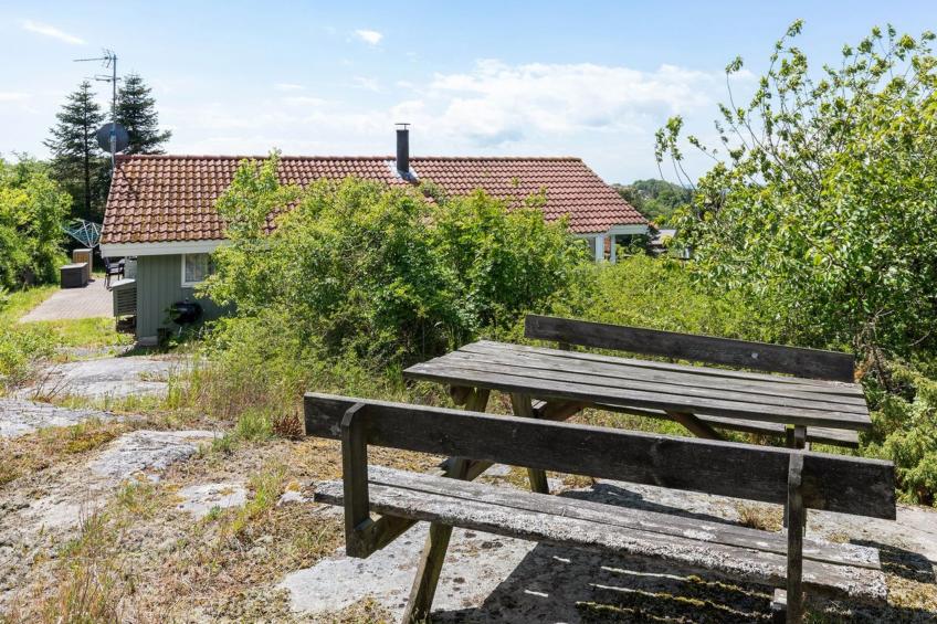 "Dorina" - 400m from the sea in Bornholm - foto 11