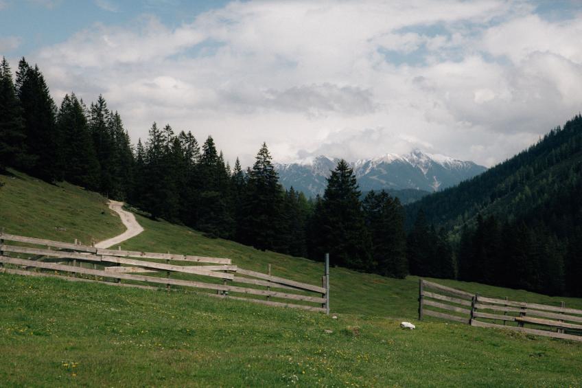 Sissis Green Chalet Theresia - foto 38