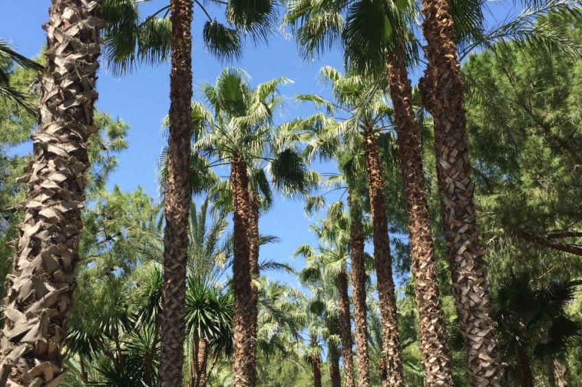 Ferienvilla El Oasis - foto 16