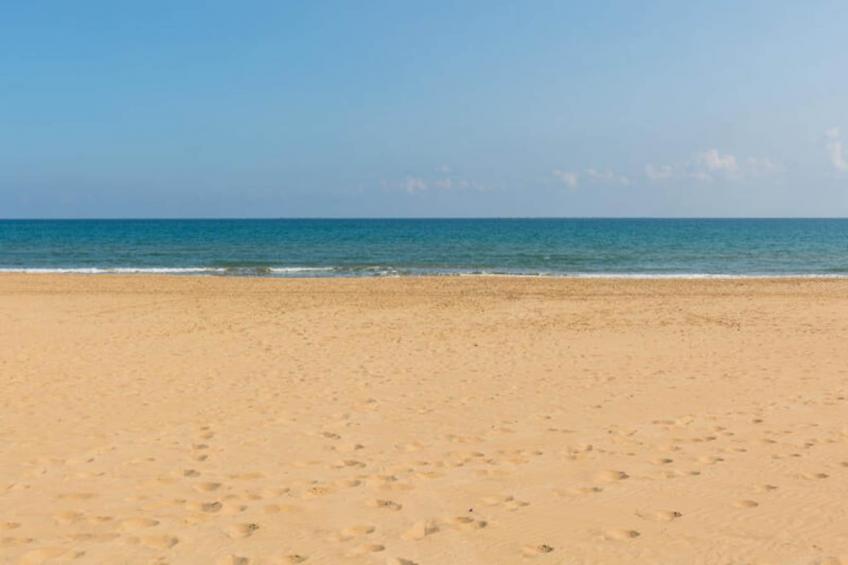 Chalets à Guardamar del Segura - foto 23