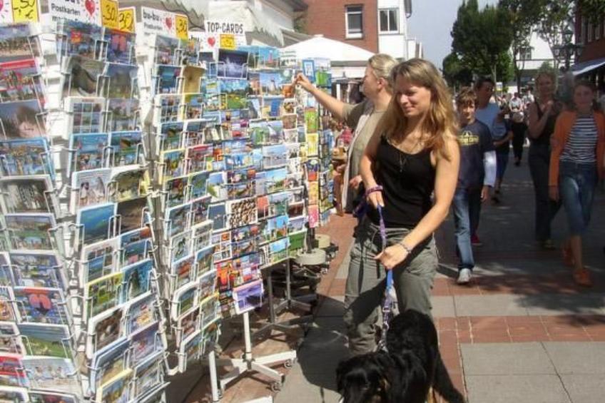 in Mühlendeich mit Großem Garten - foto 45