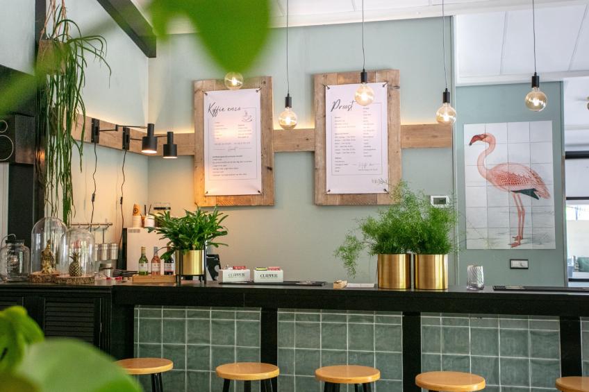 Steltloper - foto 49