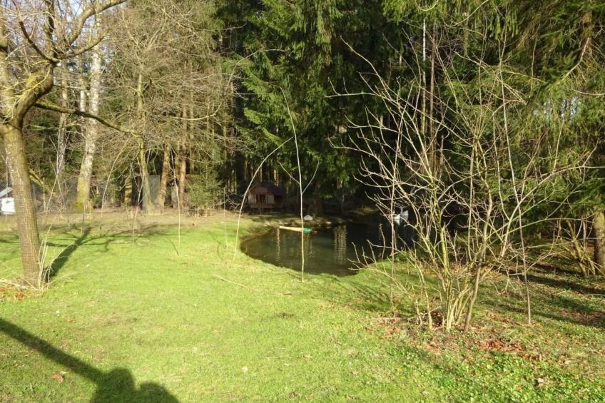 Rehalp Osten - foto 16