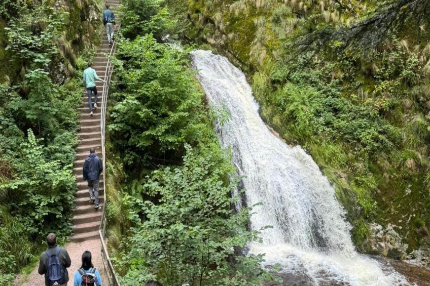 Holiday flat, Hornberg - foto 17