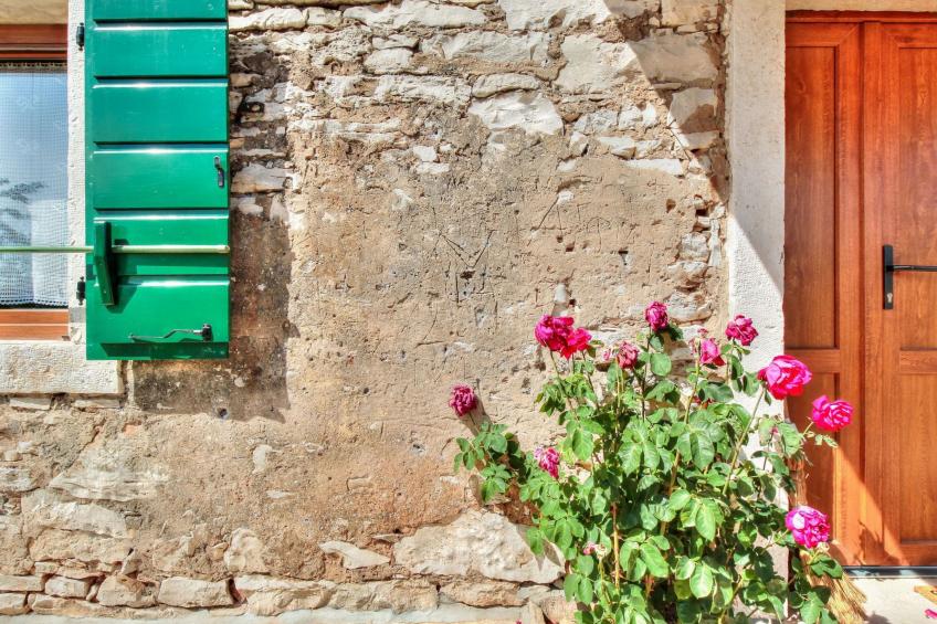 Das Haus im Wald - foto 8