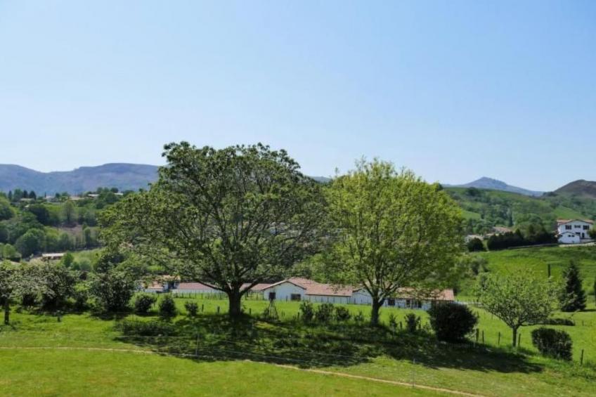 MONDARRAIN - foto 15