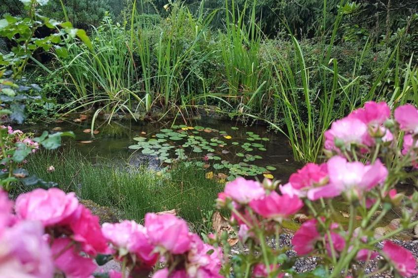 Ferienvilla mit eigener Sauna - foto 23