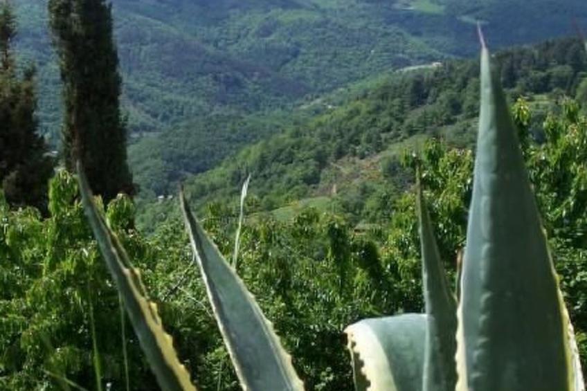 Gîte de Chapelèche Les Genêts - foto 13