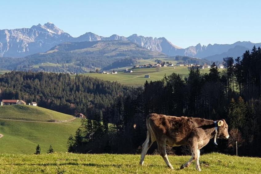 Chalet Traumfleck - foto 47