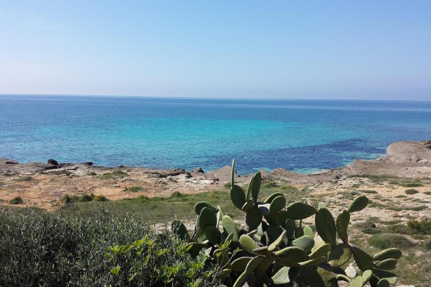 TS Trilo Rialzato - foto 20