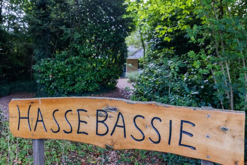 HasseBassie - foto 38