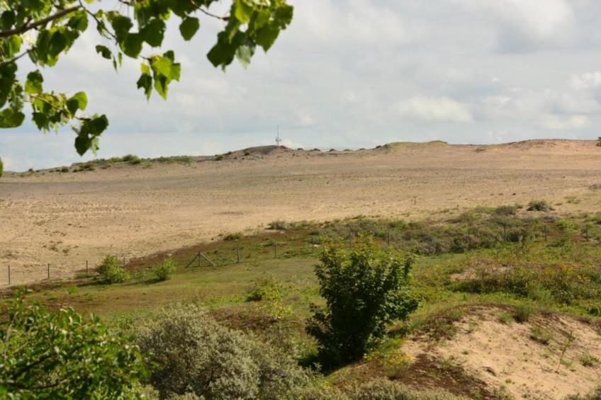 Villa Bos en Zee - foto 31