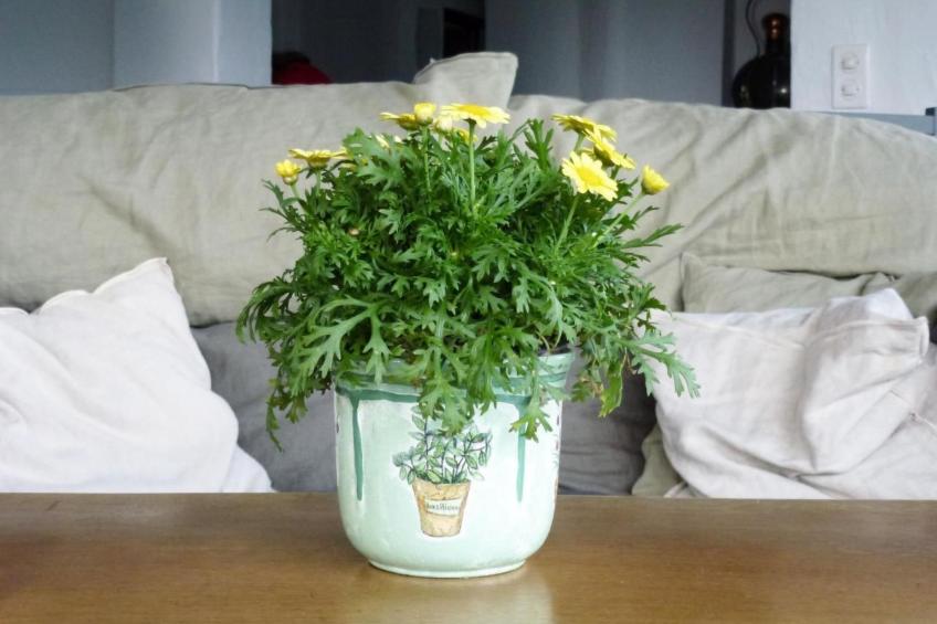 Casa Ranica mit Pool - foto 13