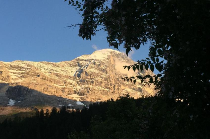 Chalet am Bühl - foto 46